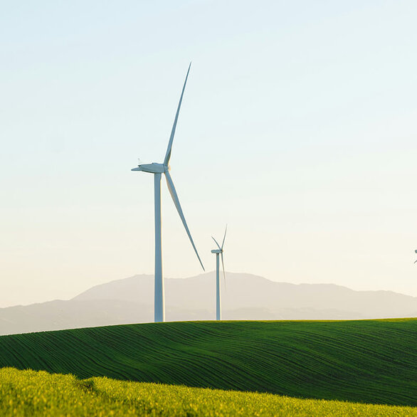 Mehrere Windräder auf einer grünen Wiese.